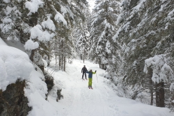 Les CONTAMINES --- 19 janvier 2020