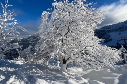 Megève - Saint Gervais 2026