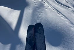 Les Gets / Morzine 2026