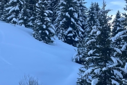 Les Gets / Morzine 2026