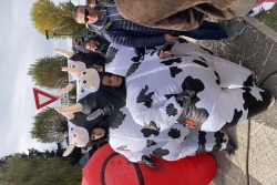 Ancileviennerie 2025